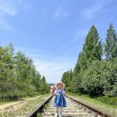항동철길 &amp; 푸른수목원 가족 나들이 후기 🌿🚂