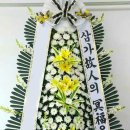 서초성모 이미지