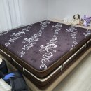 용인 매트리스청소 진드기박멸 비치움필승스마트홈케어