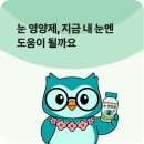 아산안과의원 | 천안아산 안과, 루테인 눈 영양제가 도움 되는 경우 4가지