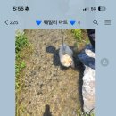 그루멍 이미지