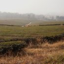 덕진목장 이미지