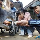 서울대공원노동조합 이미지