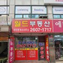 웰스공인중개사사무소 이미지
