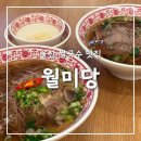 고구마PC | 울산쌀국수맛집 월미당 삼산동 베트남음식 차돌양지쌀국수 후기