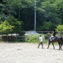 오케이승마목장 이미지