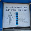 서울통쾌한마취통증의학과의원 티스토리