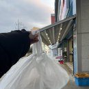 사라수산 이미지