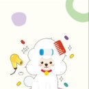 큐티펫살롱 이미지