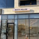 NUTTY MELLOW 이미지