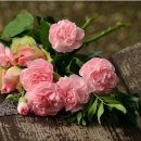 도당동행정복지센터 이미지