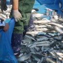 접도어촌체험휴양마을 이미지