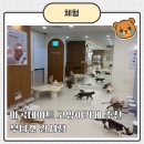 410 | 마곡데이트 추천, 개냥이들 천국 부타캣 강서점 방문후기