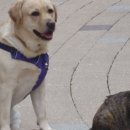 김옥자농장 이미지