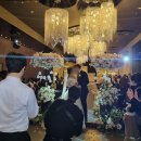 [센텀사이언스파크] 결혼식 해 본 후기