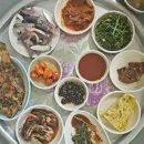 오늘자연산회