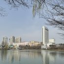 2024 석촌호수 벚꽃축제 개막식 개화상태 프리마켓 다녀온 후기