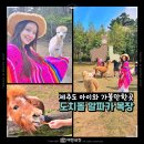 남미목장 | 제주도 아이와 갈만한곳 도치돌 알파카 목장 동물 체험