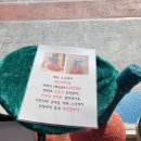 예뻐지개냥 네이버블로그