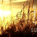 한 웅큼의 빛 이미지