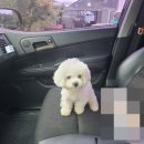 한국타이어신둔점 이미지