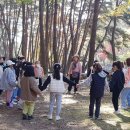 위성초등학교 이미지