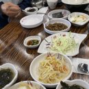 [청주 용암동] 매콤명태조림 + 생선튀김정식 조합, 청주 황제명태명가에서 제대로 먹고 옴