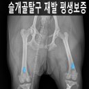 쥬만지동물의료센터 이미지