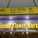 송파여성소금한증막 이미지