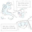 해룡 이미지