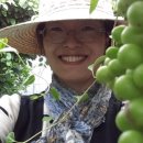 구암농장 이미지