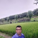 장미원 당구장 Daum카페
