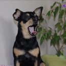 세븐일레븐 부산좌동아크로텔점 | 부산 고시원 고시텔 메트로하이브 부산 고시원 메트로하이브