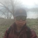 버드나루로 이미지