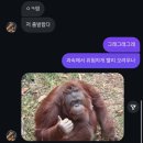 안영2 | 안영하세요~