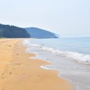 사창해수욕장 이미지