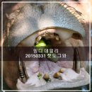 데일리민디 이미지