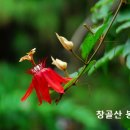 성서 성경 차이점 같은 점 이미지