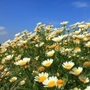 지내목장 이미지