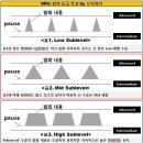 [OPIc Actually #12] 오픽 등급과 Sublevels 기준 이미지