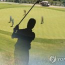 정직골프 네이버블로그