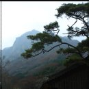 남도1번지 이미지