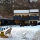 대박고깃집 권중점 | [평창 대박이하우스] 평창애견동반펜션 대형견도 가능한 대저택을 통으로 쓰는 강원도독채숙소