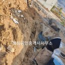 장흥농협하나로마트 이미지