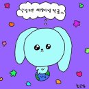닭찌