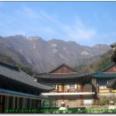 동학사1·2로 이미지