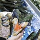 거북수산 - 동대문구 고산자로34길 41 | 거북수산