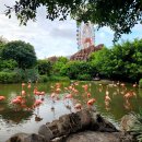 친구카랜드 이미지