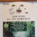 김밥일번지 시청점 이미지