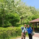 평생학습동아리 지원사업 | 2025년/ 아산시 우수 평생학습 동아리/ 지원사업 / 실버체조 특강/통합실버체조